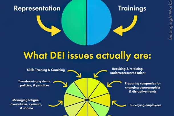 What DEI issues actually are
