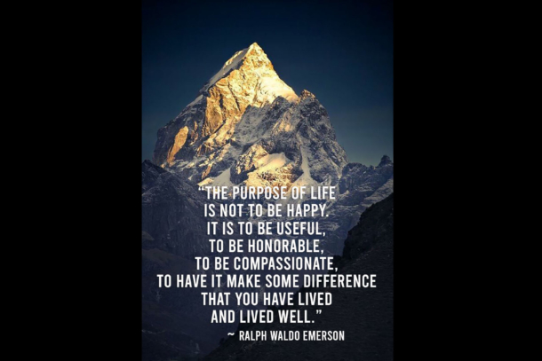 The purpose of life