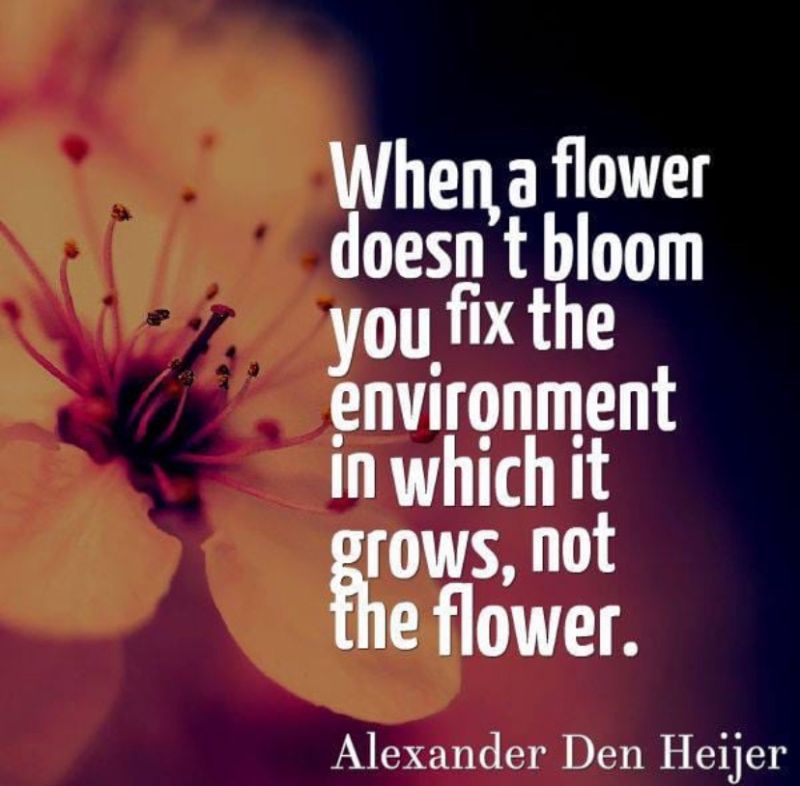 When a flower doesn’t bloom, you fix the environment - Abid Jan Ottawa